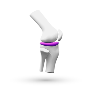 Giảm đau - Cơ xương khớp